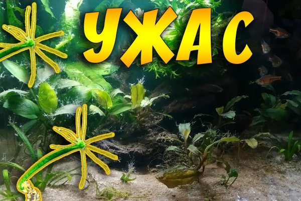 Кракен купить счастье