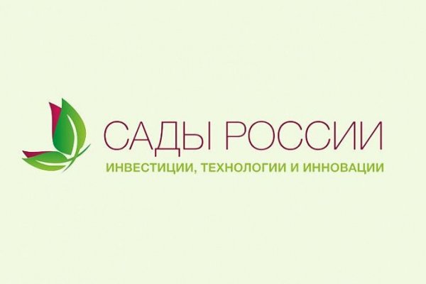 Кракен сайт что