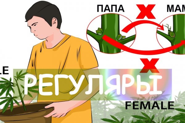 Кракен наркоторговец