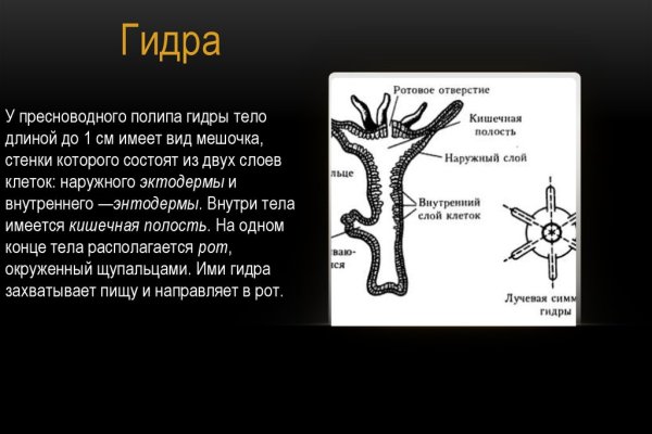 Почему не работает кракен сегодня