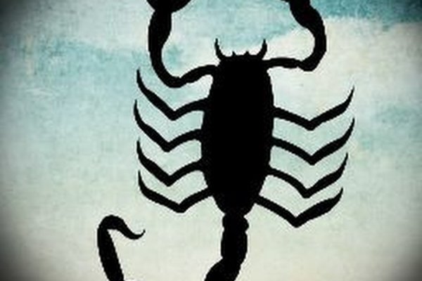Kraken place
