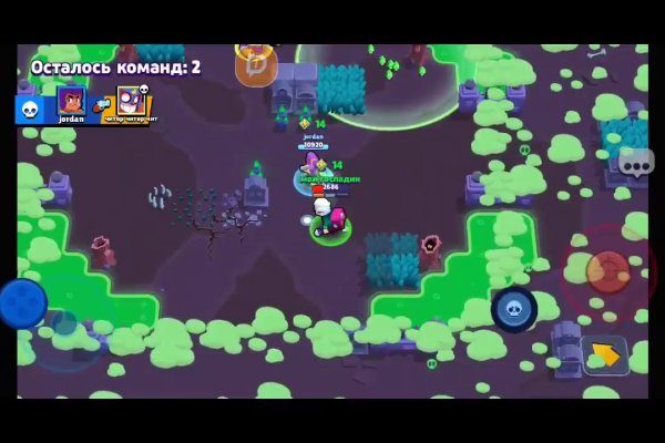 Kraken link