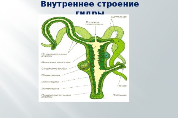 Kraken торговая площадка ссылка