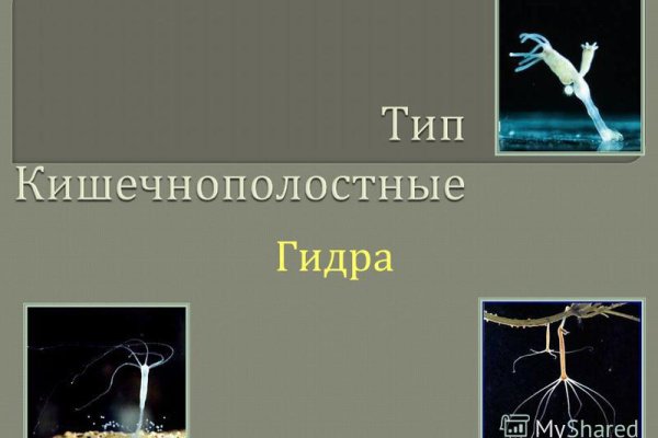 Кракен зеркала krk store com