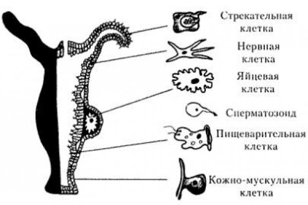 Супернет сайт скачать