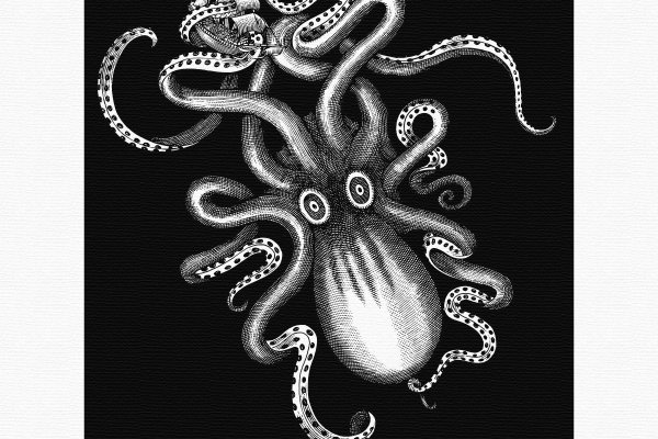 Kraken market