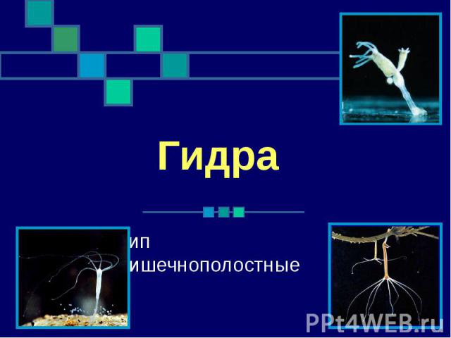 Ссылки для tor